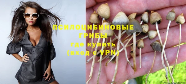 молекула духа Арсеньев