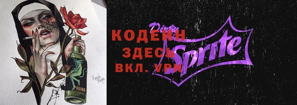 молекула духа Арсеньев