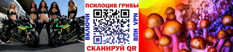 Псилоцибиновые грибы Magic Shrooms  Полысаево 
